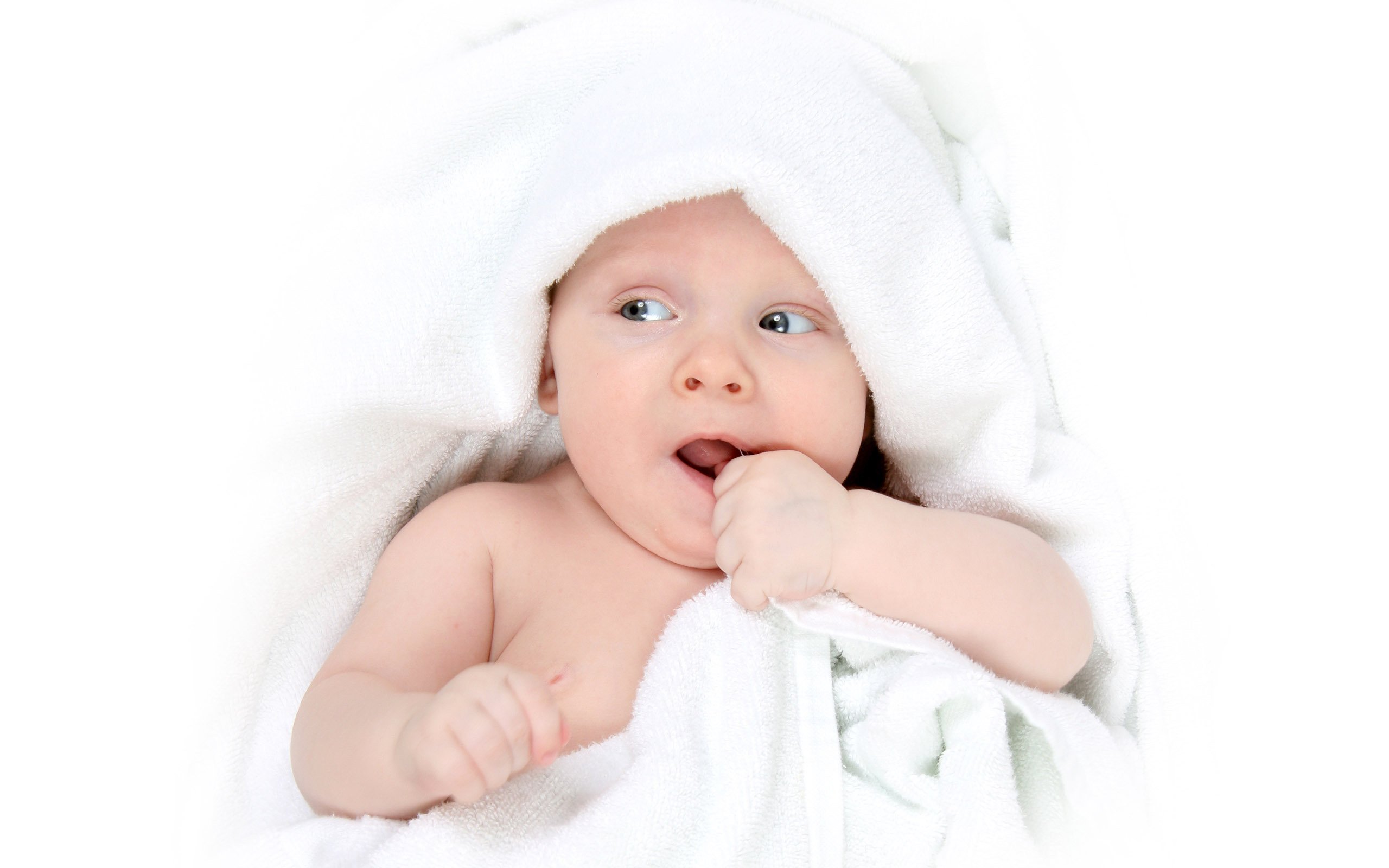 供卵公司机构试管婴儿冷冻优胚胎成功率